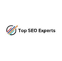 Top SEO Experts image 1