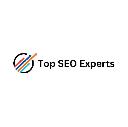 Top SEO Experts logo