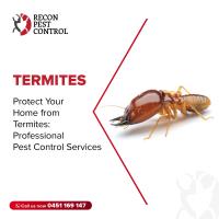 Recon Pest Control image 6
