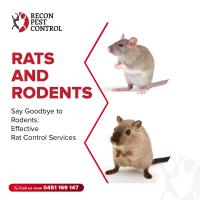 Recon Pest Control image 3