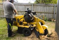 Stump Time - Tree Removals & Stump Removal image 2