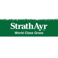 Strath Ayr World Class Grass image 1