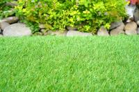 Synthetic Grass Central Coast Experts image 6