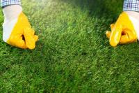 Synthetic Grass Central Coast Experts image 3