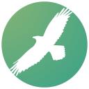 Crow Flies Marketing logo
