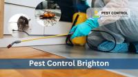 Pest Control Brighton image 1