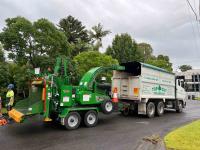 Top Cut Tree Services image 5