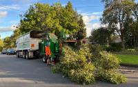 Top Cut Tree Services image 2