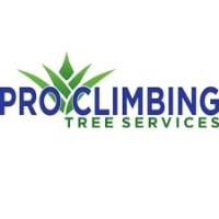 Pro Climbing Tree Services image 1