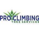 Pro Climbing Tree Services logo
