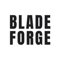 BLADE FORGE image 1