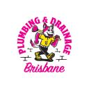 Brisbane Plumbing and Drainage logo