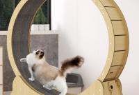 Cat Wheel Australia image 1