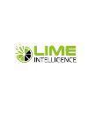 Lime Intel logo