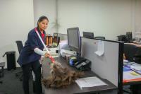 Clearworld Cleaning Services image 5