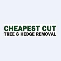 Cheapest Cut Tree & Hedge Removal image 1
