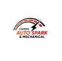 Cairns Auto Spark & Mechanical logo