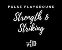 Pulse Playground image 1