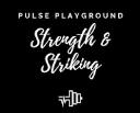 Pulse Playground logo