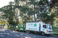 Aura Tree Services image 4
