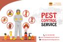 7States Pest Control logo