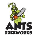 Ants tree works Pty. Ltd logo