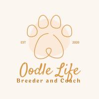 Oodle life image 1