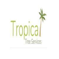 Tropical Tree Services image 1