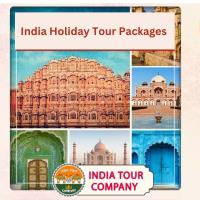 India Tour Company image 4