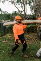 S&B Tree Services Northern Beaches image 4
