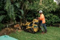 S&B Tree Services Northern Beaches image 6