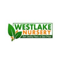 Westlake Nursery image 1