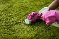 WOW Carpet Cleaning Perth image 14