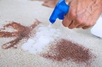 Smart Carpet Cleaning Gold Coast image 18