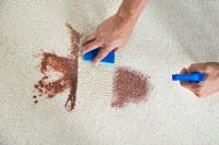 WOW Carpet Cleaning Melbourne image 12