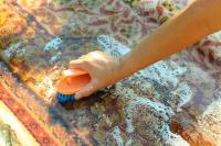 Smart Carpet Cleaning Gold Coast image 21