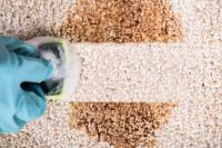 WOW Carpet Cleaning Sydney image 11