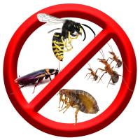 All-U-Need Pest Control image 8