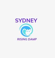 Sydney Rising Damp image 1