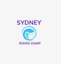 Sydney Rising Damp logo