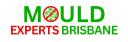 Mould Experts Brisbane logo