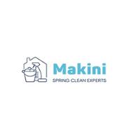 Makini Spring Clean Expert image 1