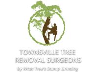 Townsville Stump Tree Surgeons image 5