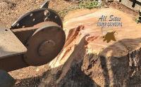 All Sites Stump Grinding image 6