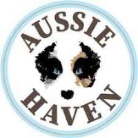 Aussie Pet Haven image 1