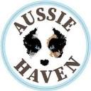 Aussie Pet Haven logo