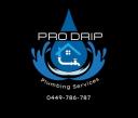 Pro Drip Plumbing logo