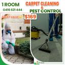 iCarpet clean and pest control logo