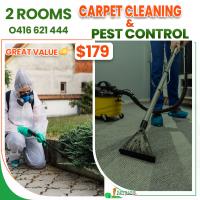 iCarpet clean and pest control image 2
