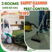 iCarpet clean and pest control image 3